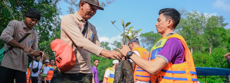 Kembangkan Hutan Mangrove, PLN Sukses Jaga Lingkungan dan Berdayakan Masyarakat Bali