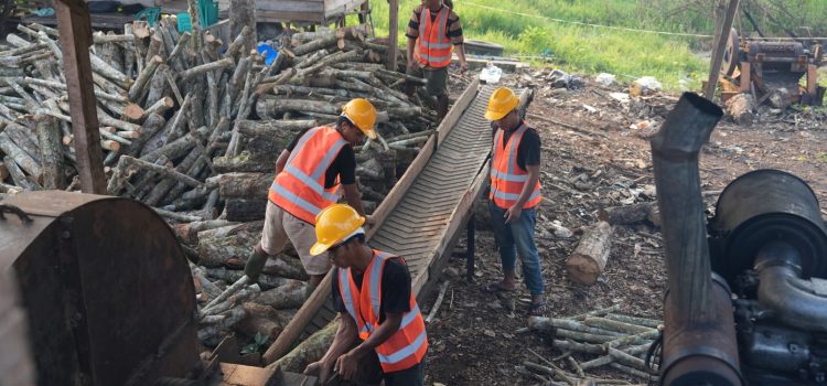 Peningkatan Produksi Biomassa PLN Sukses Buka Lapangan Kerja Masif di Daerah