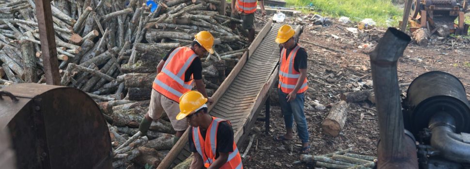 Peningkatan Produksi Biomassa PLN Sukses Buka Lapangan Kerja Masif di Daerah