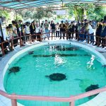 Kunjungi Konservasi Penyu, Pertamina Ajak Delegasi ASCOPE Melepas Tukik