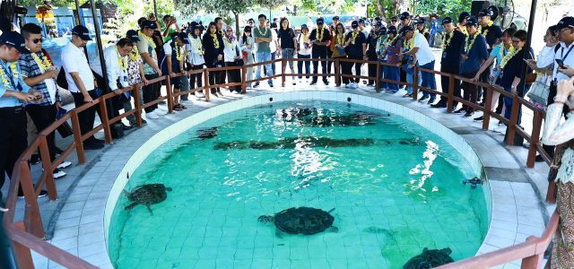Kunjungi Konservasi Penyu, Pertamina Ajak Delegasi ASCOPE Melepas Tukik