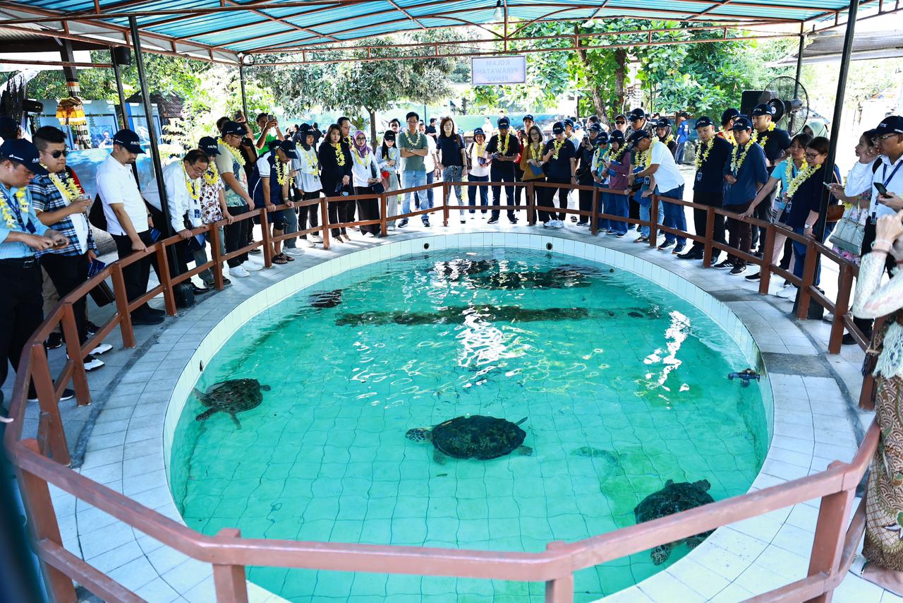 Kunjungi Konservasi Penyu, Pertamina Ajak Delegasi ASCOPE Melepas Tukik