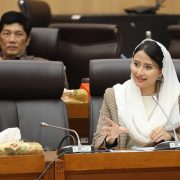 Terus Perkuat Ekosistem EV, Komisi VII DPR RI Apresiasi Kinerja PLN