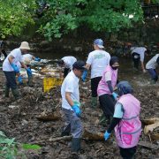 Lewat Program Green Employee Involvement, PLN  Kumpulkan Sampah 302 Ton di Hari Lingkungan Hidup