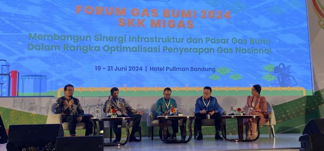 Komersialisasi Gas Bumi Terkendala Harga dan Koordinasi Lintas Sektor