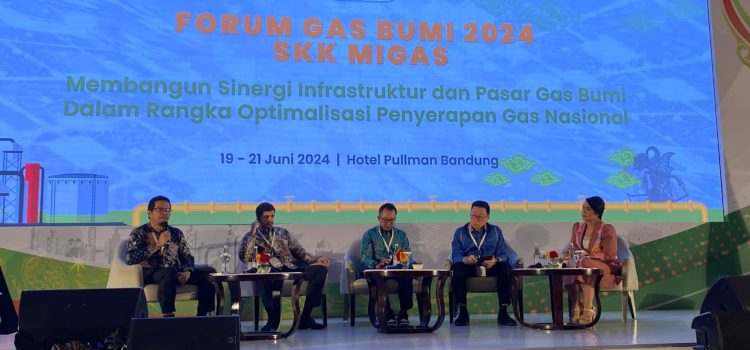 Komersialisasi Gas Bumi Terkendala Harga dan Koordinasi Lintas Sektor