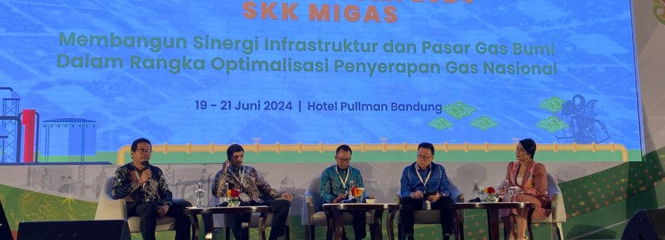 Komersialisasi Gas Bumi Terkendala Harga dan Koordinasi Lintas Sektor