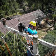 PLN: Masa Siaga Listrik Selama Idul Adha 1445 H Tiga Hari Berturut-turut