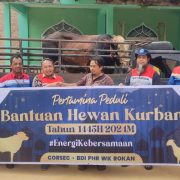 Idul Adha, Pertamina Grup Salurkan 4.493 Hewan Kurban ke Seluruh Indonesia