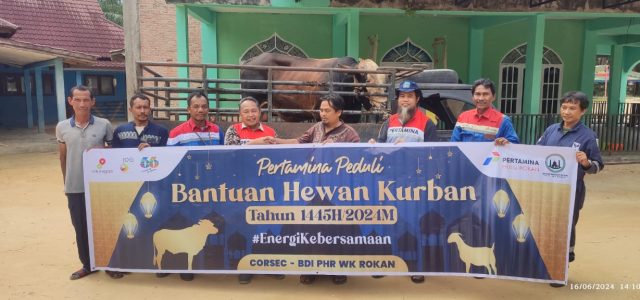 Idul Adha, Pertamina Grup Salurkan 4.493 Hewan Kurban ke Seluruh Indonesia