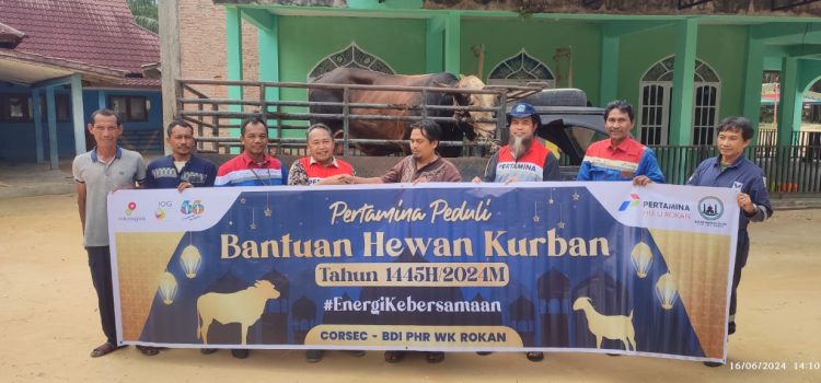 Idul Adha, Pertamina Grup Salurkan 4.493 Hewan Kurban ke Seluruh Indonesia