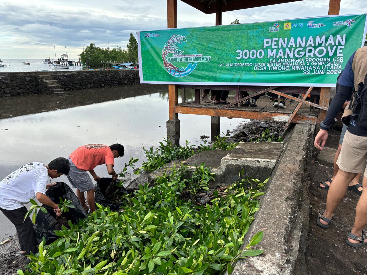 Hari Lingkungan Hidup Sedunia, PLN Tanam 3.000 Mangrove di Pesisir Sulawesi Utara