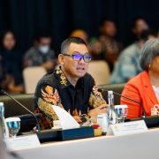 Dukung Dekarbonisasi di Sektor Industri, PLN Siap Suplai Listrik Hijau Melalui Layanan GEAS