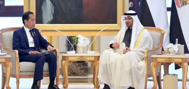 Kepala Negara Apresiasi Persatuan Emirat Arab Terkait Investasi Energi Bersih