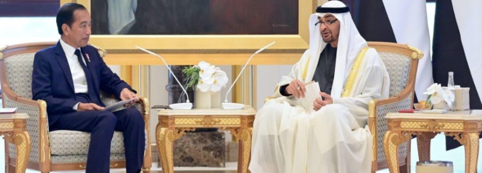 Kepala Negara Apresiasi Persatuan Emirat Arab Terkait Investasi Energi Bersih