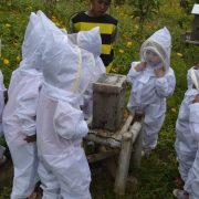 Kembangkan Eduwisata Lebah di Garut, PLN Haleyora Power Salurkan Bantuan Alat Pengolahan Madu