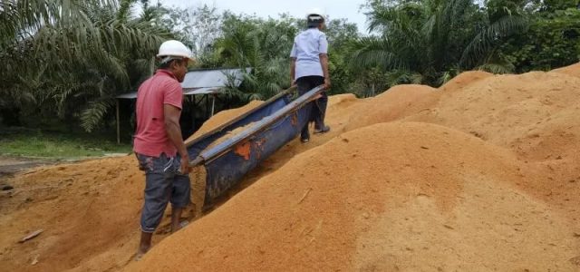 Gunakan Sawdust Sebagai Pengganti Batubara di PLTU Ombilin, PLN IP Libatkan Masyarakat