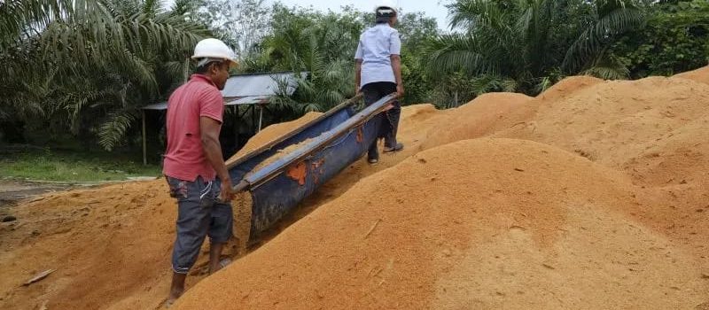 Gunakan Sawdust Sebagai Pengganti Batubara di PLTU Ombilin, PLN IP Libatkan Masyarakat