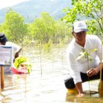 Begini Cara PT Bukit Asam Cegah Abrasi di Pantai Taluak Sumbar