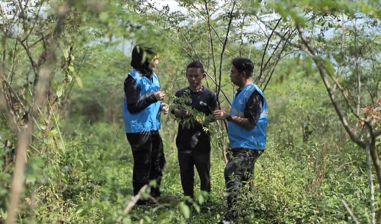 Didukung Pemerintah, Pengembangan Biomassa PLN di Tasikmalaya Sukses Berdayakan Masyarakat