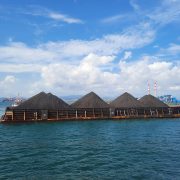 PLN EPI Siap Amankan Pasokan Energi Primer ke Pembangkit Saat Pelantikan Presiden