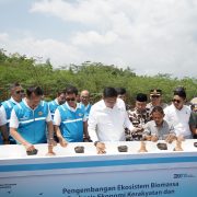 Kembangkan Program Pertanian Terpadu di Tasikmalaya, PLN EPI Bangun Ekosistem Biomassa Berbasis Ekonomi Kerakyatan