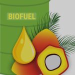 Program Pengembangan Biofuel Terkendala Bahan Baku Dan Harga Produk Akhir