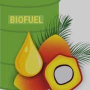 Program Pengembangan Biofuel Terkendala Bahan Baku Dan Harga Produk Akhir