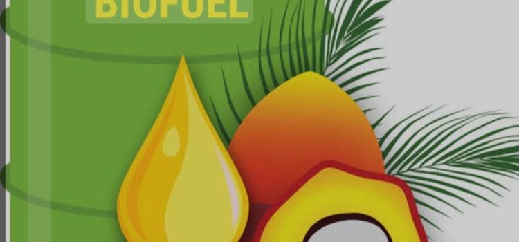 Program Pengembangan Biofuel Terkendala Bahan Baku Dan Harga Produk Akhir