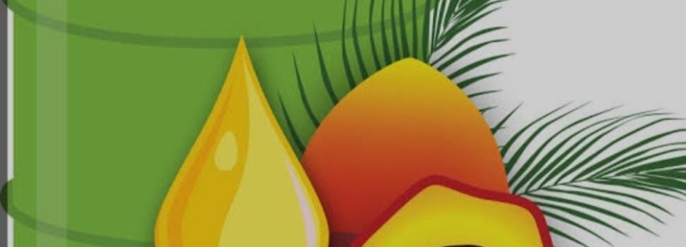 Program Pengembangan Biofuel Terkendala Bahan Baku Dan Harga Produk Akhir