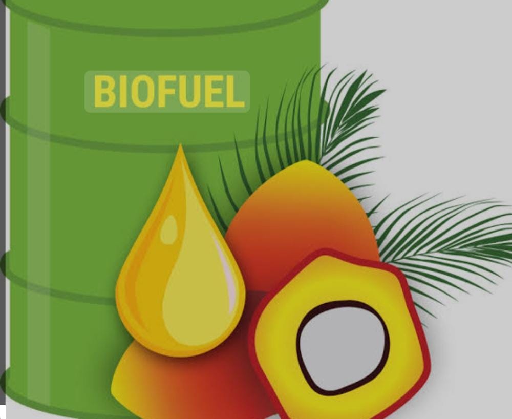 Program Pengembangan Biofuel Terkendala Bahan Baku Dan Harga Produk Akhir