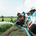 Dukung Pengembangan Pertanian di Merauke, PLN Listriki Area Sawah Garapan Kementan-TNI