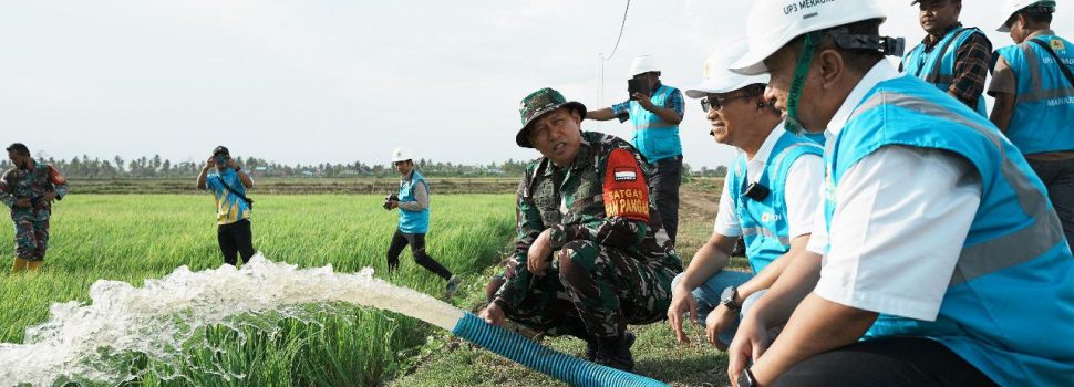 Dukung Pengembangan Pertanian di Merauke, PLN Listriki Area Sawah Garapan Kementan-TNI