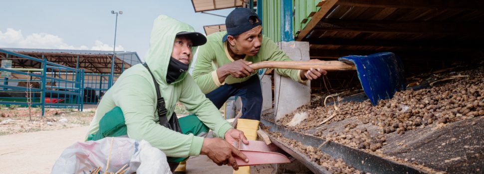 PLN NP Hadirkan Solusi Hijau untuk Kemajuan Agrikultur Terpadu di Tuban