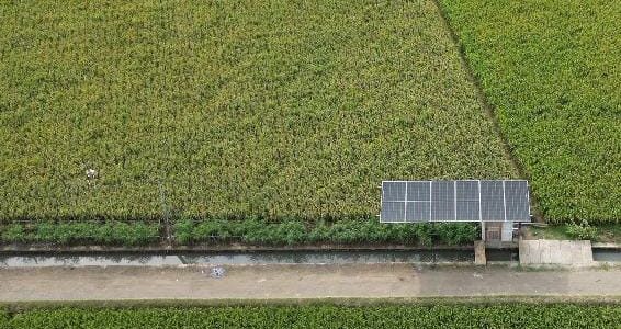 Wujudkan Ketahanan Pangan dan Energi, Pertamina Hadirkan Desa Energi Berdikari di Indramayu