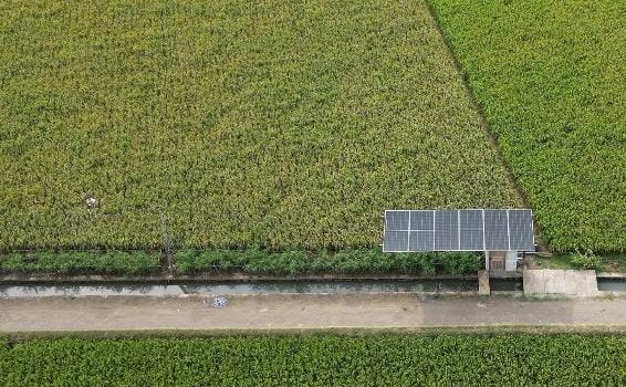 Wujudkan Ketahanan Pangan dan Energi, Pertamina Hadirkan Desa Energi Berdikari di Indramayu