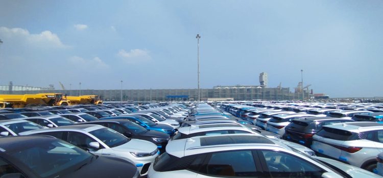 Permintaan Meningkat, PT IKT Layani Bongkar Muat Kendaraan Listrik Capai 15.988 Unit
