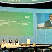 Perkuat Energi Hijau di Tanah Air, PLN Dorong Kolaborasi Global di COP29