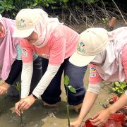 Kolaborasi dengan WWF Indonesia, PLN Jadi Perusahaan Pertama di Tanah Air Adopsi Kerangka Kerja TNFD