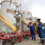 Optimalkan LNG Tangguh, PGN Gandeng BUMD Papua Barat