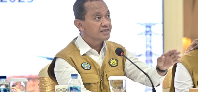 Momen Nataru 2024/2025, PLN Sukses Amankan Kelistrikan dan Catatkan Rekor Transaksi SPKLU
