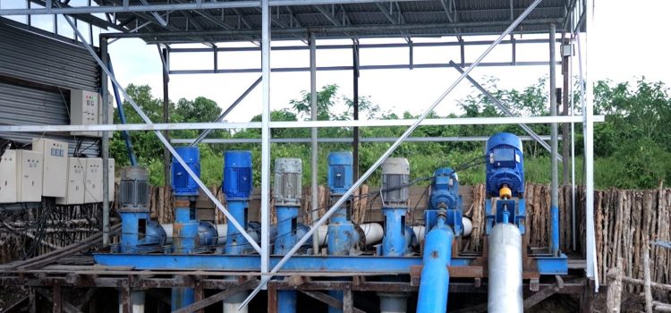 Dukung Tranformasi Pertanian Modern, EA PLN Raih 53.539 Pelanggan Baru di 2024