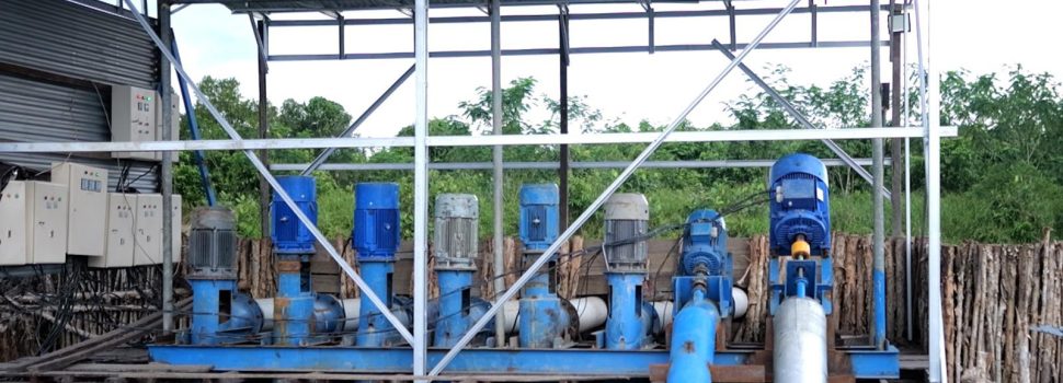 Dukung Tranformasi Pertanian Modern, EA PLN Raih 53.539 Pelanggan Baru di 2024