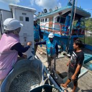 Andalkan Program Electrifying Marine, PLN Sukses Hadirkan Listrik 47,32 GWh Sepanjang 2024