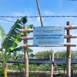 Elnusa Perkuat Desa Energi Berdikari Sumengko dengan Produk Herbal Cenayu