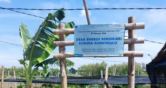 Elnusa Perkuat Desa Energi Berdikari Sumengko dengan Produk Herbal Cenayu