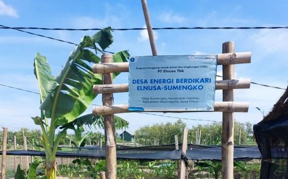 Elnusa Perkuat Desa Energi Berdikari Sumengko dengan Produk Herbal Cenayu