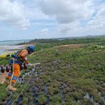 Keandalan Listrik Meningkat, PLN Catat Penurunan Durasi dan Frekuensi Gangguan di 2024