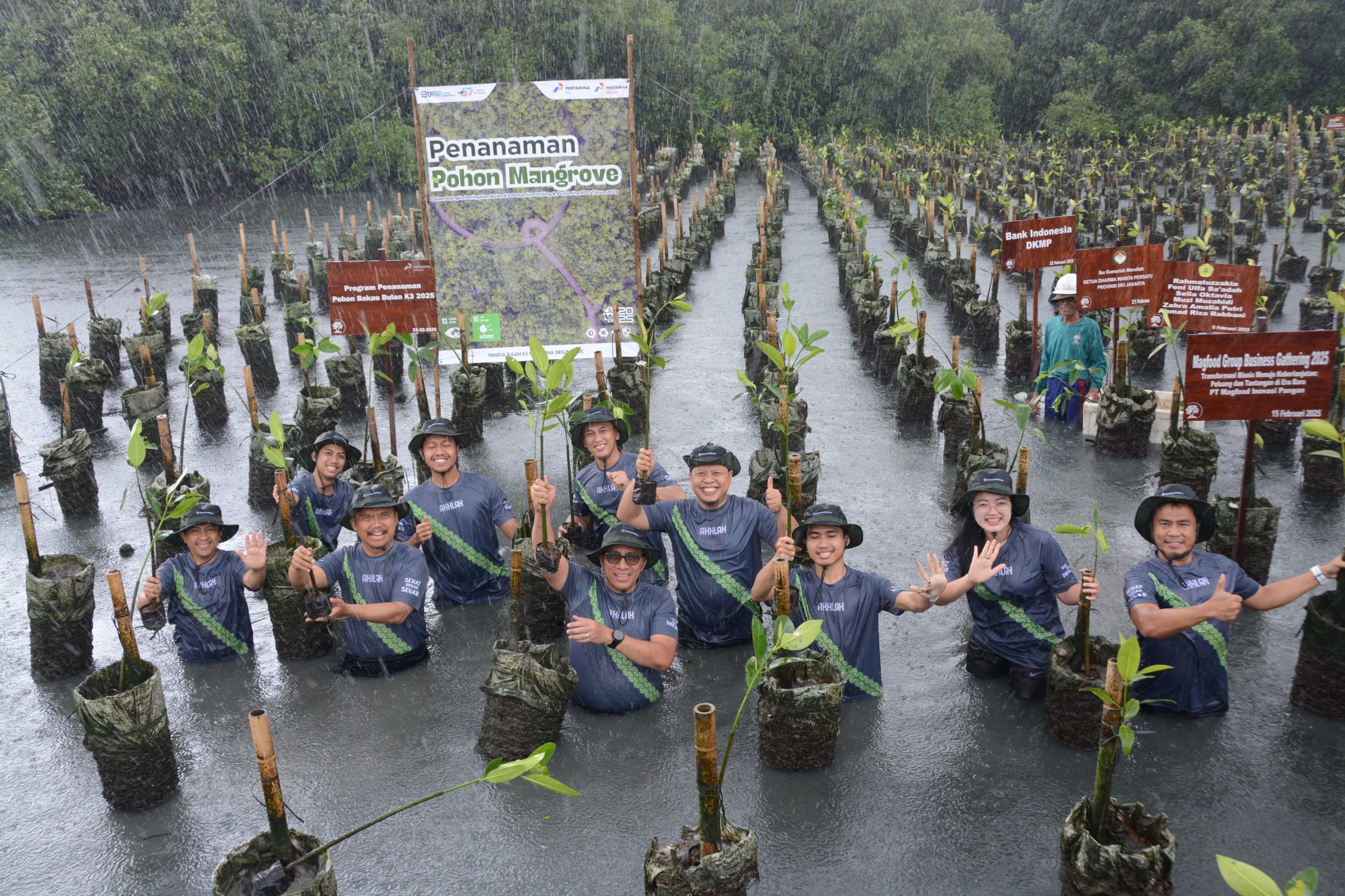 PDSI Tanam 1.000 Pohon Mangrove untuk Kelestarian Lingkungan