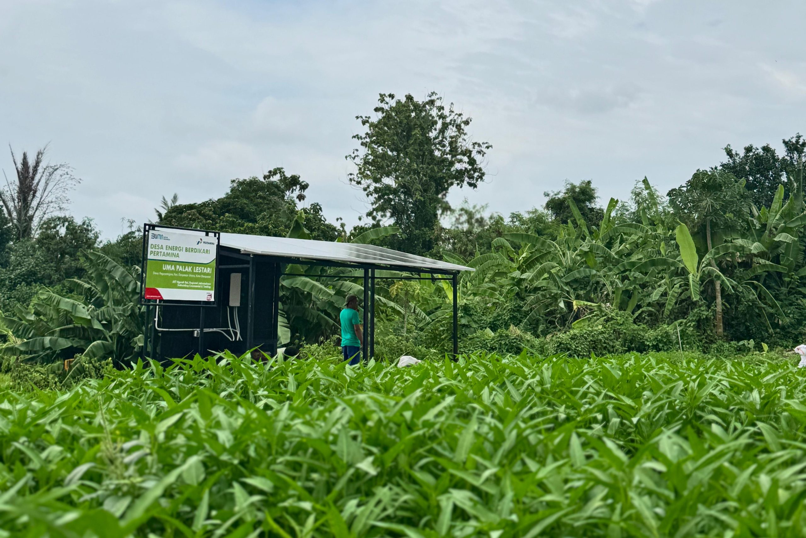 Lewat Program DEB, Pertamina Aktif Dukung Swasembada Energi dan Pangan Berbasis Desa